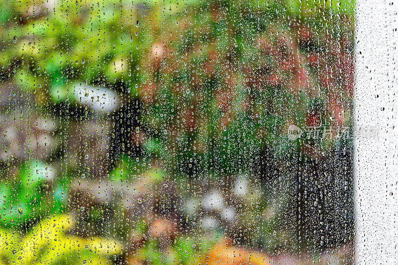 Rain on a window with garden